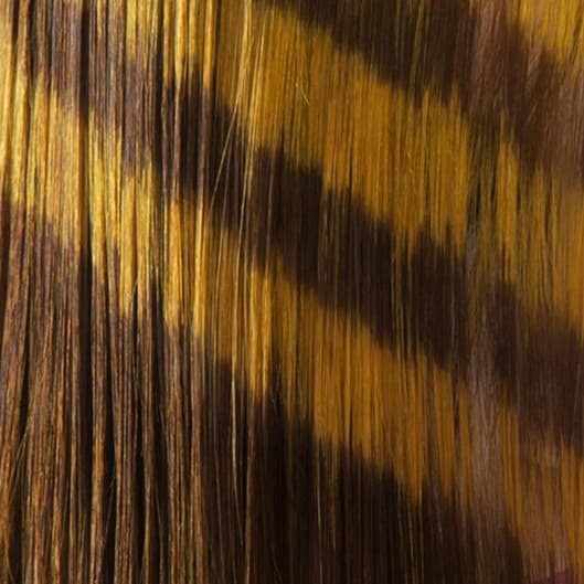 Color & Style at JoRay’s Creations in Vienna, WV